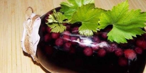 Kako kuvati kompot od grožđa